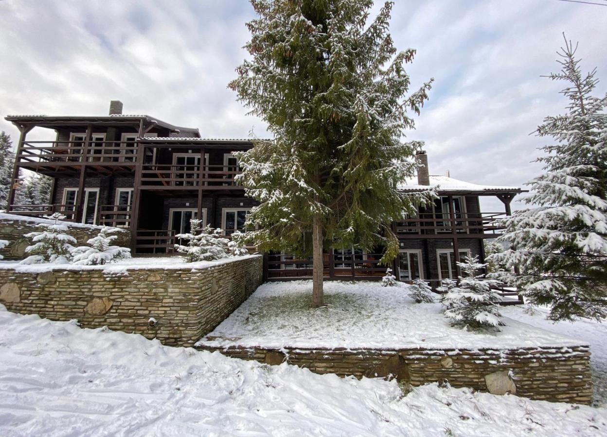 Парк-Готель Щастя Skhidnytsia Exterior photo