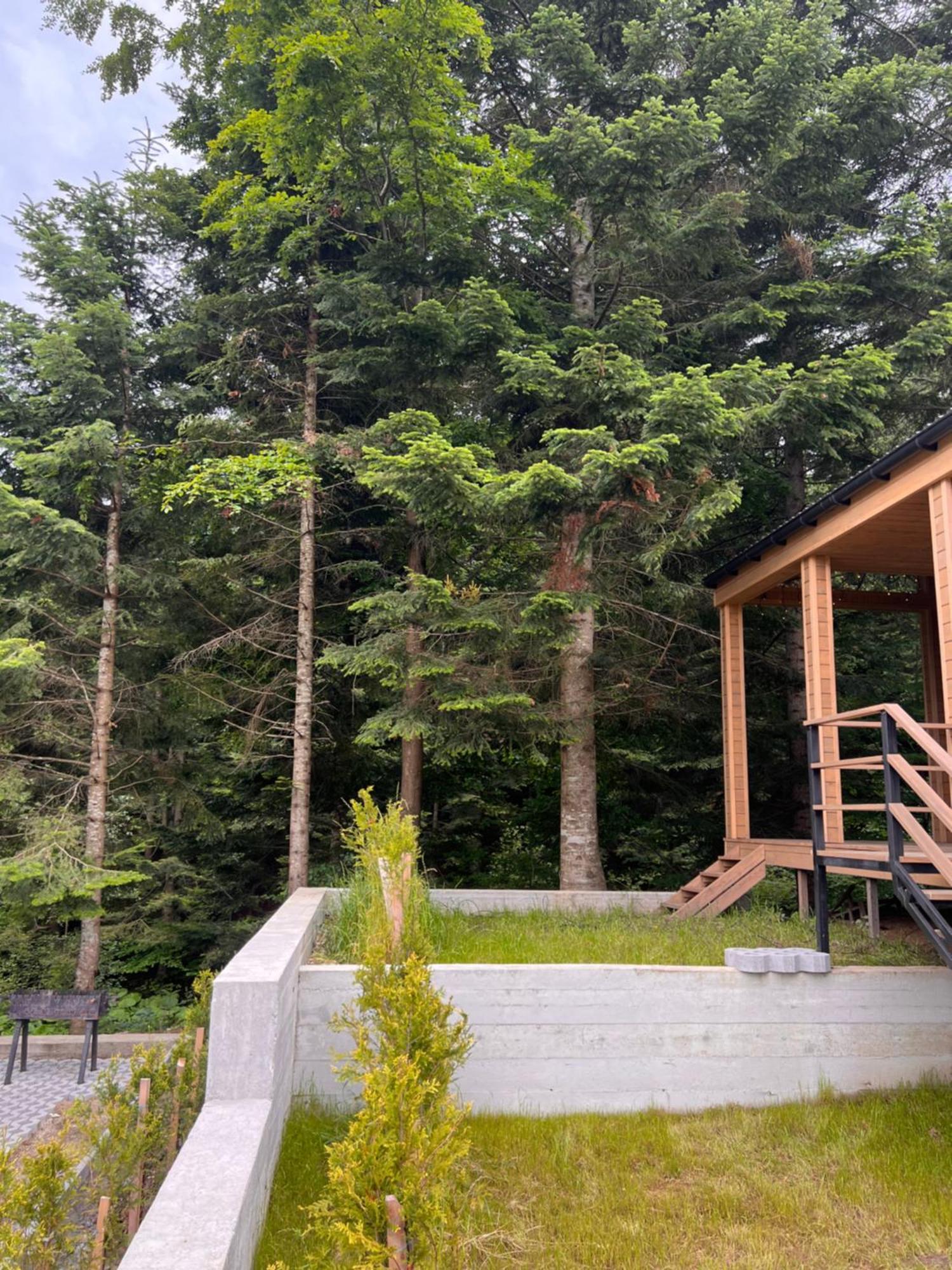 Парк-Готель Щастя Skhidnytsia Exterior photo